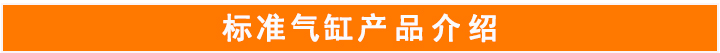 標(biāo)準(zhǔn)氣缸